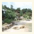 Moon Beach Resort photo