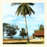Sabaii Bay Resort photo