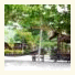 V-View Beach Resort photo