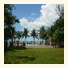 Rajapruek Samui Resort photo