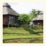 Pai Tara Resort photo