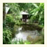 Rainbow House Pai photo