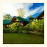 Sunshine Pai Resort photo