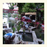 Arikanda Hotel photo