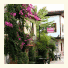 Lazer Pension photo