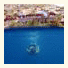 Dolphin Hotel photo