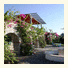 Olive Farm Of Datca Guesthouse photo