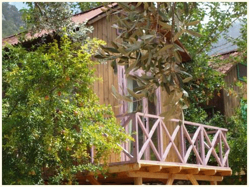 Sultan Camp