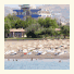 Selinus Beach Club