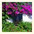 Arion Resort Hotel photo
