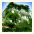 Santosa Pension photo