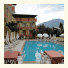 Wassermann Hotel photo