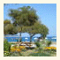 Angels Garden Olympos photo