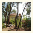 Daphne House photo