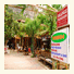 Olympos Orange Pension photo