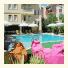 Safari Suit Hotel photo