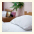 Salve Hostel photo
