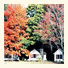 Cozy Cottages and Otter Valley Winery