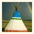 Lodgepole Gallery