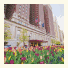 Hilton Chicago