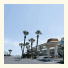 Sunny Shore Resort photo