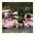 Downieville River Inn & Resort
