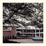 Saw Mill River Motel photo