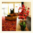 CoCo Key Water Resort Hotel and Convention Center Fitchburg