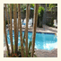 15 FTL Guest House photo
