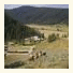 320 Guest Ranch
