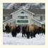 Yellowstone Basin Inn