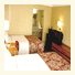 Vista Inn and Suites Nashville Airport East