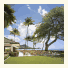 Halekulani photo