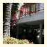 Adventurer Hostel photo
