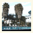 Tradewinds Airport Hotel photo