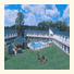 Rhumb Line Resort photo