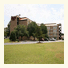 Hampton Inn Kinston