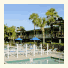 Magic Tree Resort photo