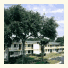 Masters Inn Kissimmee photo
