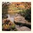 Polynesian Isles Resort photo