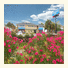 Rodeway Inn Kissimmee photo