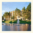 Marriott's Royal Palms photo