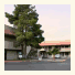 Siegel Slots and Suites