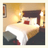 Hampton Inn & Suites McAllen photo