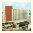 Best Western Atlantic Beach Resort photo