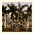 Blue Moon Hotel photo