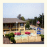 Best Western Park Crest Inn - Monterey photo