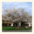 DoubleTree Suites by Hilton Nashville Airport photo