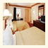 Econo Lodge at the Falls North