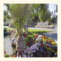 Desert Princess Country Club